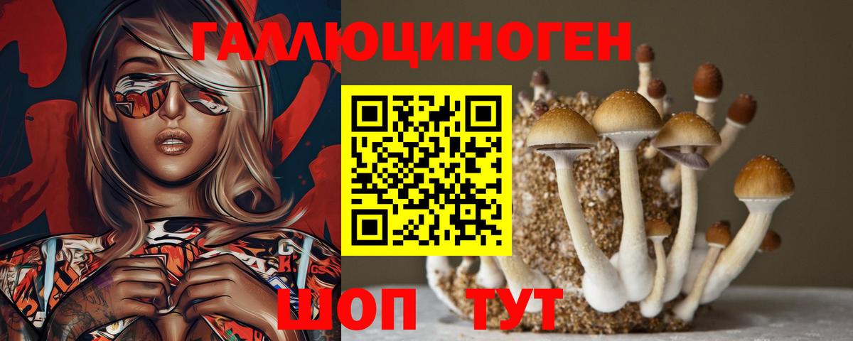 Псилоцибиновые грибы прущие грибы Вязники