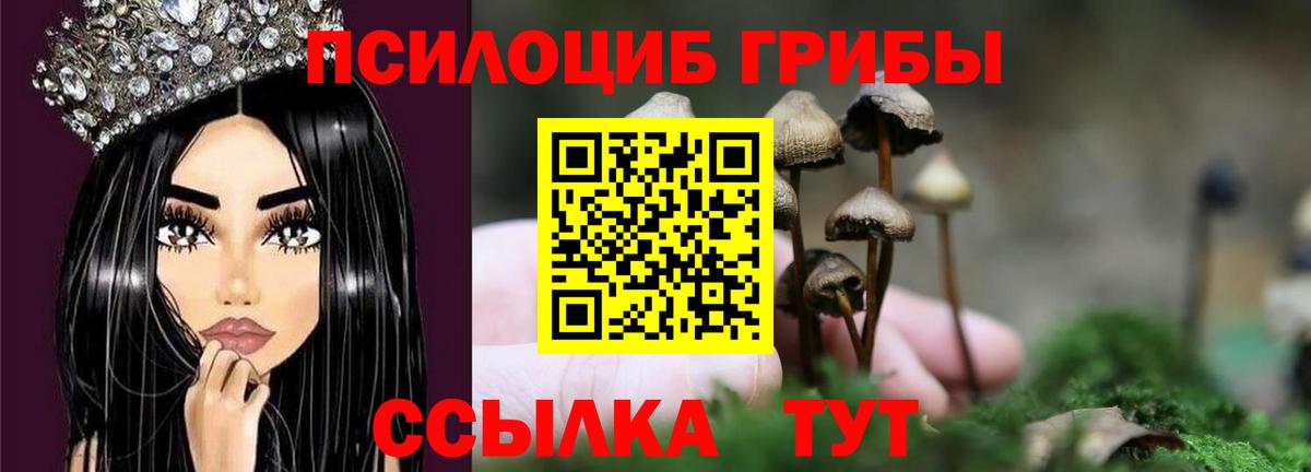 Галлюциногенные грибы Psilocybe  где можно купить   Вязники  Псилоцибиновые грибы Magic Shrooms  Вход с VPN 
